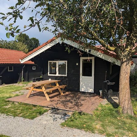 The Bee - Trekkershuts & Apartment Opperdoes Exteriör bild