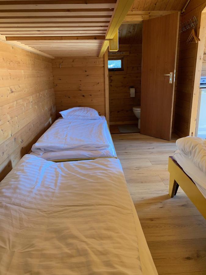 The Bee - Trekkershuts & Apartment Opperdoes Exteriör bild